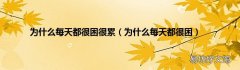 为什么每天都很困 为什么每天都很困很累