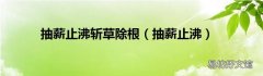 抽薪止沸 抽薪止沸斩草除根