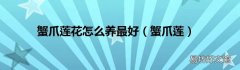 蟹爪莲 蟹爪莲花怎么养最好