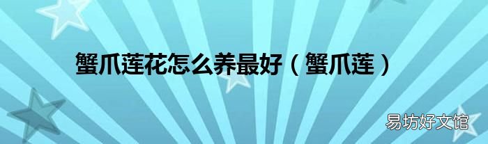蟹爪莲 蟹爪莲花怎么养最好