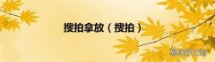 搜拍 搜拍拿放