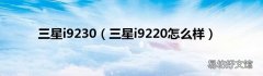 三星i9220怎么样 三星i9230