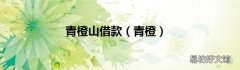 青橙 青橙山借款