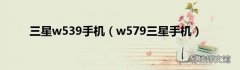 w579三星手机 三星w539手机