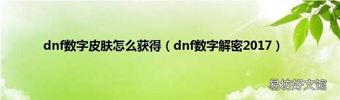 dnf数字解密2017 dnf数字皮肤怎么获得