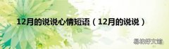 12月的说说 12月的说说心情短语