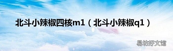 北斗小辣椒q1 北斗小辣椒四核m1
