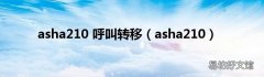 asha210 asha210 呼叫转移