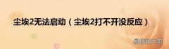 尘埃2打不开没反应 尘埃2无法启动