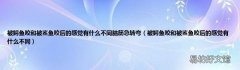 被鳄鱼咬和被鲨鱼咬后的感觉有什么不同 被鳄鱼咬和被鲨鱼咬后的感觉有什么不同脑筋急转弯