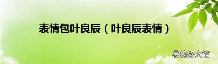 叶良辰表情 表情包叶良辰
