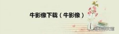 牛影像 牛影像下载