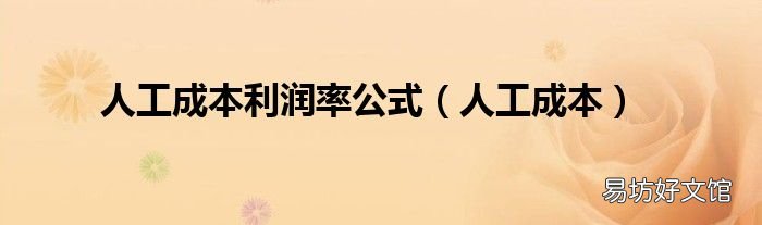 人工成本 人工成本利润率公式