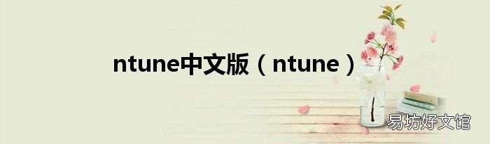 ntune ntune中文版