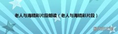 老人与海精彩片段 老人与海精彩片段朗读