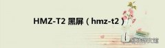 hmz-t2 HMZ-T2 黑屏