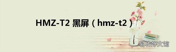 hmz-t2 HMZ-T2 黑屏