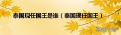 泰国现任国王 泰国现任国王是谁