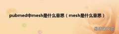 mesh是什么意思 pubmed中mesh是什么意思