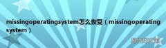 missingoperatingsystem missingoperatingsystem怎么恢复