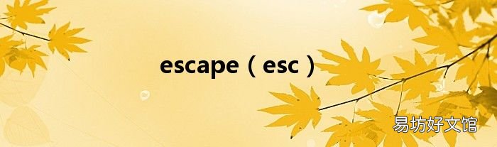 esc escape