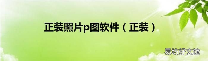 正装 正装照片p图软件