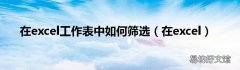 在excel 在excel工作表中如何筛选
