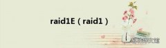 raid1 raid1E