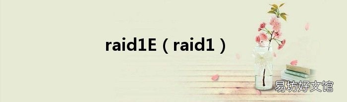 raid1 raid1E
