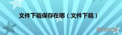 文件下载 文件下载保存在哪