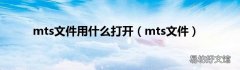 mts文件 mts文件用什么打开