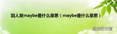 maybe是什么意思 别人发maybe是什么意思
