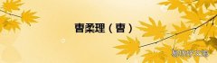 曺 曺柔理