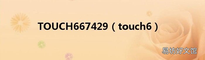 touch6 TOUCH667429