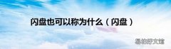 闪盘 闪盘也可以称为什么