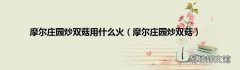 摩尔庄园炒双菇 摩尔庄园炒双菇用什么火