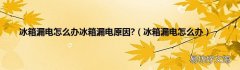 冰箱漏电怎么办 冰箱漏电怎么办冰箱漏电原因?