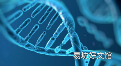 研究人员揭示基因如何影响身体对营养物质的反应
