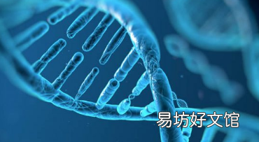 研究人员揭示基因如何影响身体对营养物质的反应