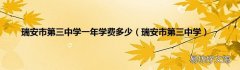 瑞安市第三中学 瑞安市第三中学一年学费多少