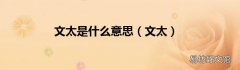 文太 文太是什么意思