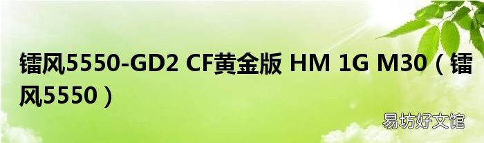 镭风5550 镭风5550-GD2 CF黄金版 HM 1G M30