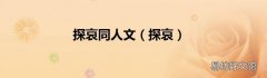 探哀 探哀同人文