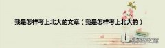 我是怎样考上北大的 我是怎样考上北大的文章