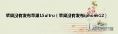 苹果没有发布iphone12 苹果没有发布苹果15ultru
