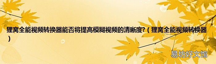 狸窝全能视频转换器 狸窝全能视频转换器能否将提高模糊视频的清晰度?