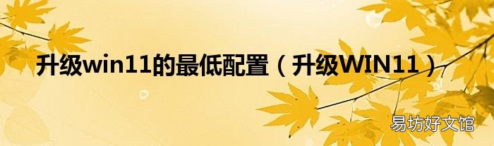 升级WIN11 升级win11的最低配置