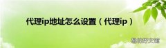 代理ip 代理ip地址怎么设置