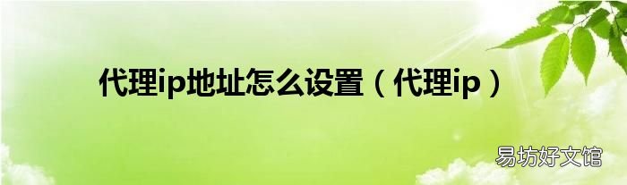 代理ip 代理ip地址怎么设置