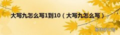 大写九怎么写 大写九怎么写1到10